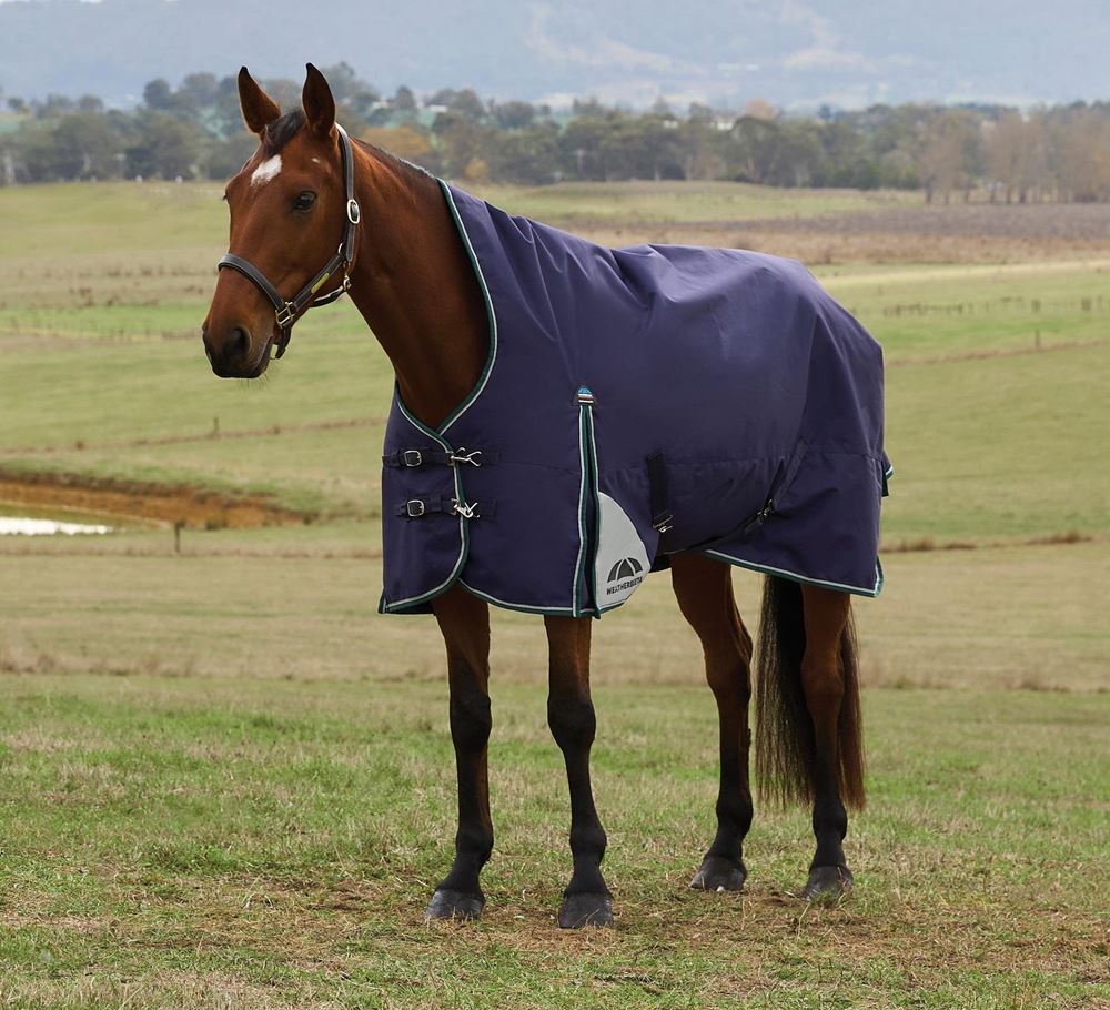 Weatherbeeta Comfitec Plus Dynamic Turnout High Neck - 220g (Navy/Forest Green)