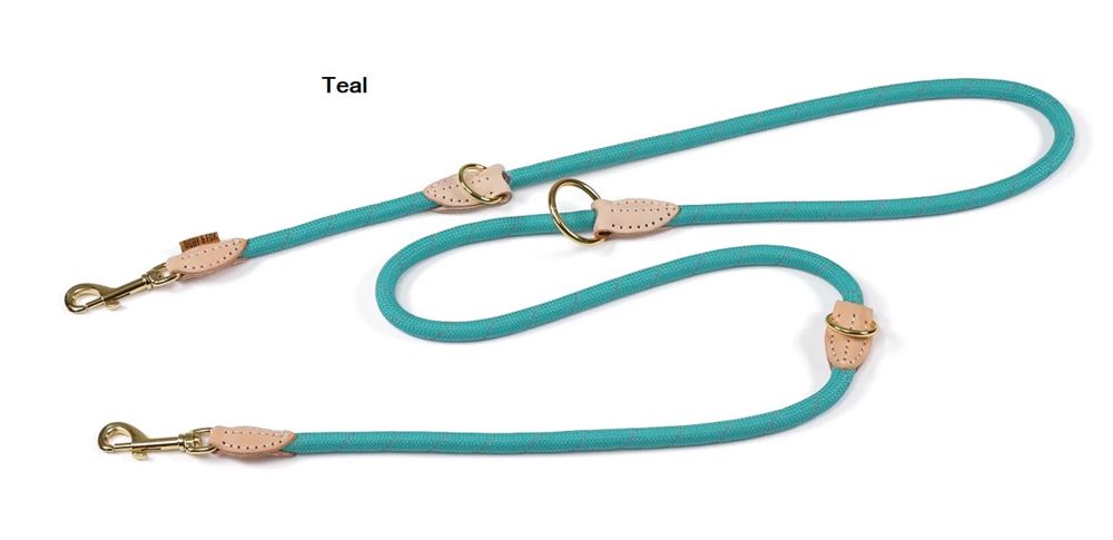 Shires Digby & Fox Reflective Training Dog Lead (Teal)