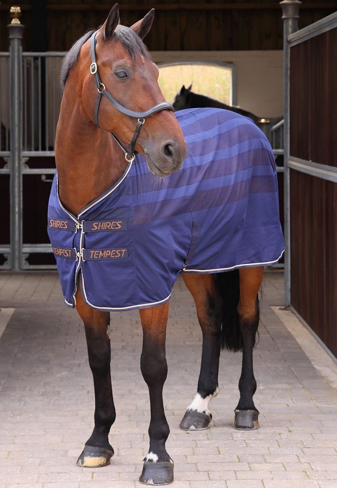 Shires Tempest Original Scrim Cooler (Ink)