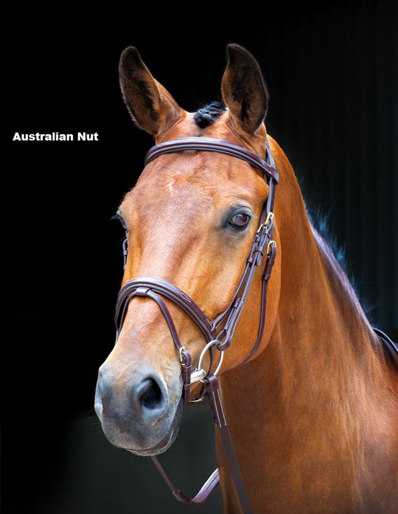Shires Salisbury Bodenham Flash Bridle