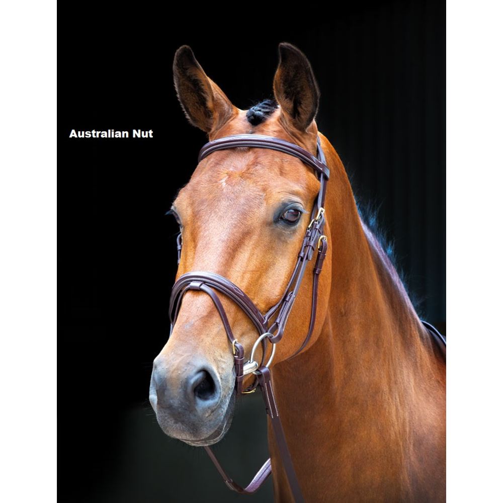 Shires Salisbury Bodenham Flash Bridle