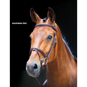 Shires Salisbury Bodenham Flash Bridle