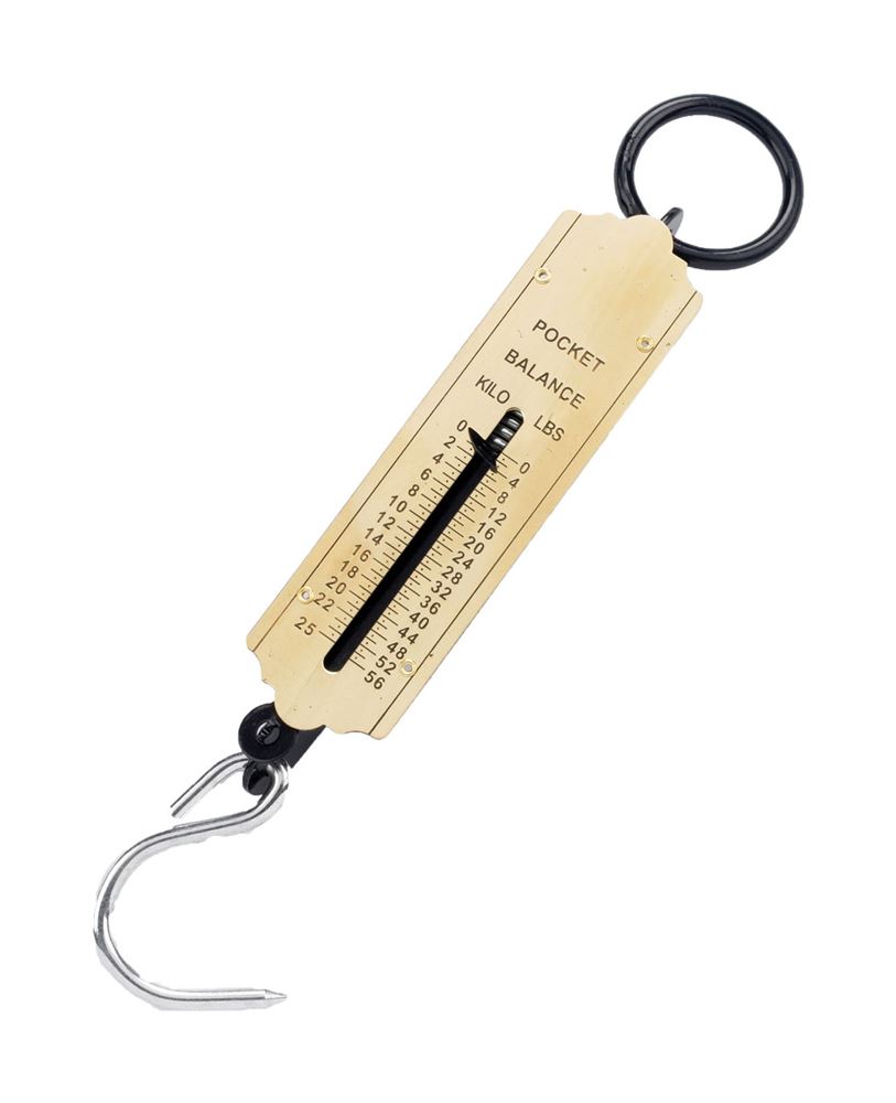 Lincoln Spring Balance