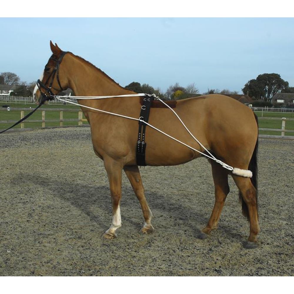 Rhinegold Training System With Roller Included