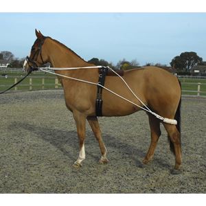 Rhinegold Training System With Roller Included