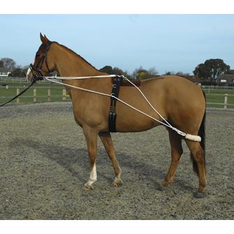 Rhinegold Training System With Roller Included