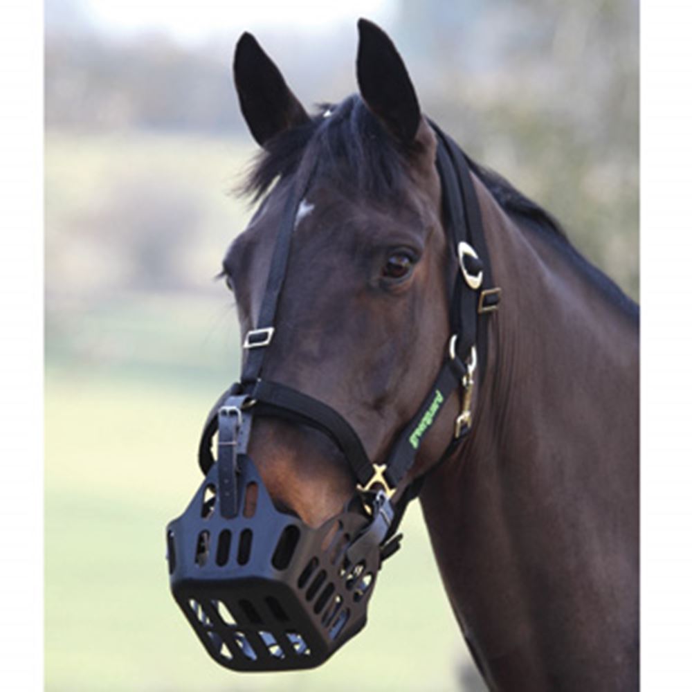 GreenGuard Grazing Muzzle