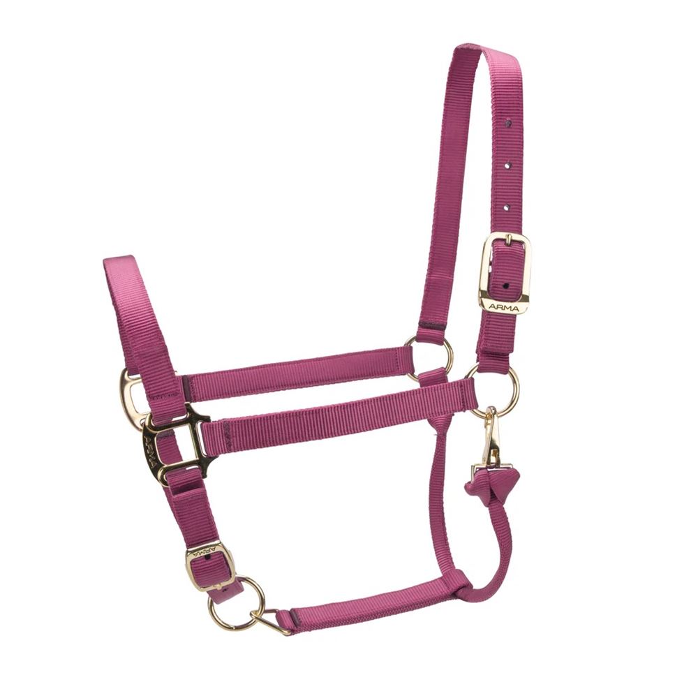 Shires ARMA Premium Adjustable Headcollar (Burgundy)