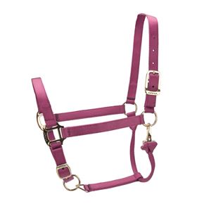 Shires ARMA Premium Adjustable Headcollar (Burgundy)
