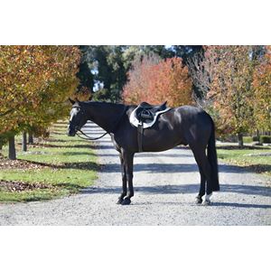 Weatherbeeta Prime Comfy Fleece All Purpose Numnah 