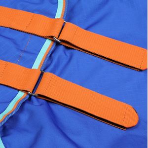 Shires Tempest Original 50g Combo Turnout Rug (Royal)