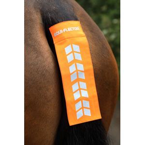 Shires EQUI-FLECTOR Tail Strap (Bright Orange)