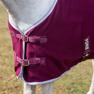 Gallop Ponie Burgundy Jersey Cooler Rug