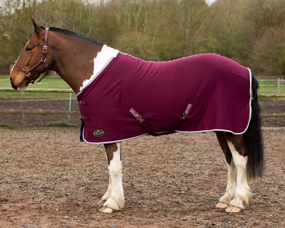 Gallop Jersey Cooler Rug (Burgundy)