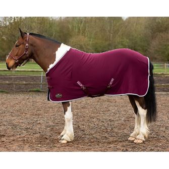 Gallop Jersey Cooler Rug (Burgundy)