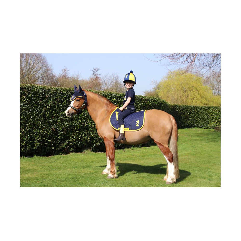 Lancelot Saddle Pad by Little Knight