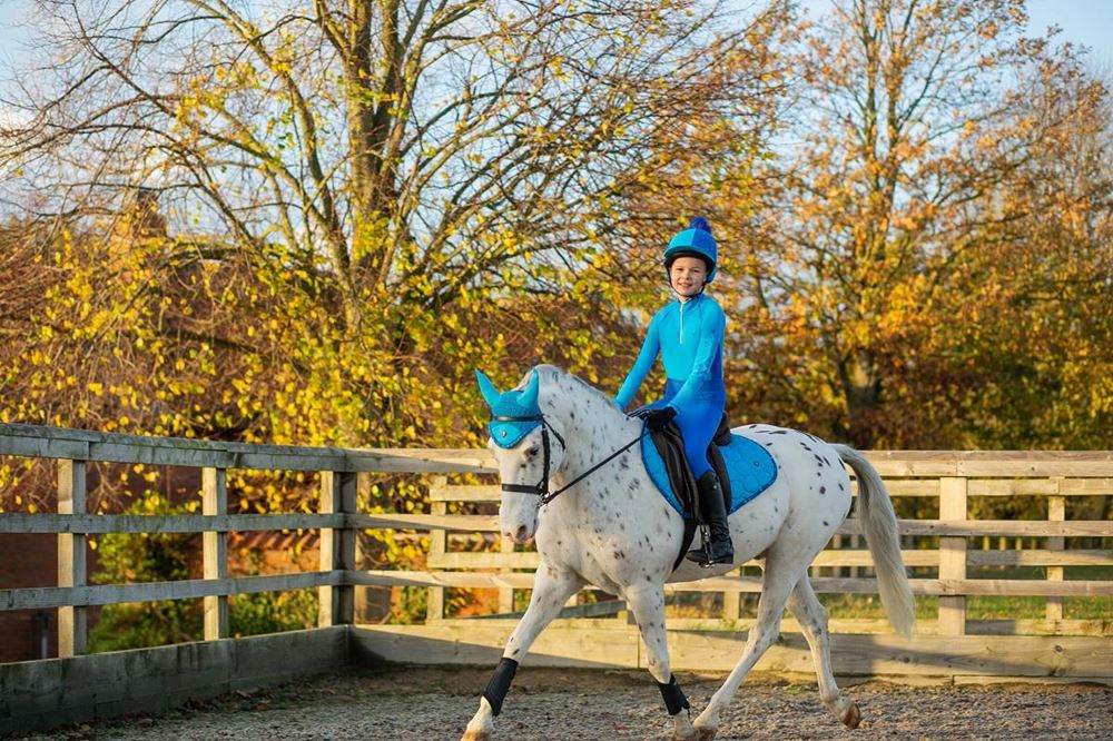 Hy Equestrian DynaMizs Ecliptic Fly Veil (Cobalt/Ocean)