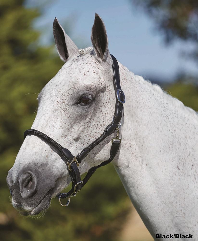Kincade Leather Rope Headcollar