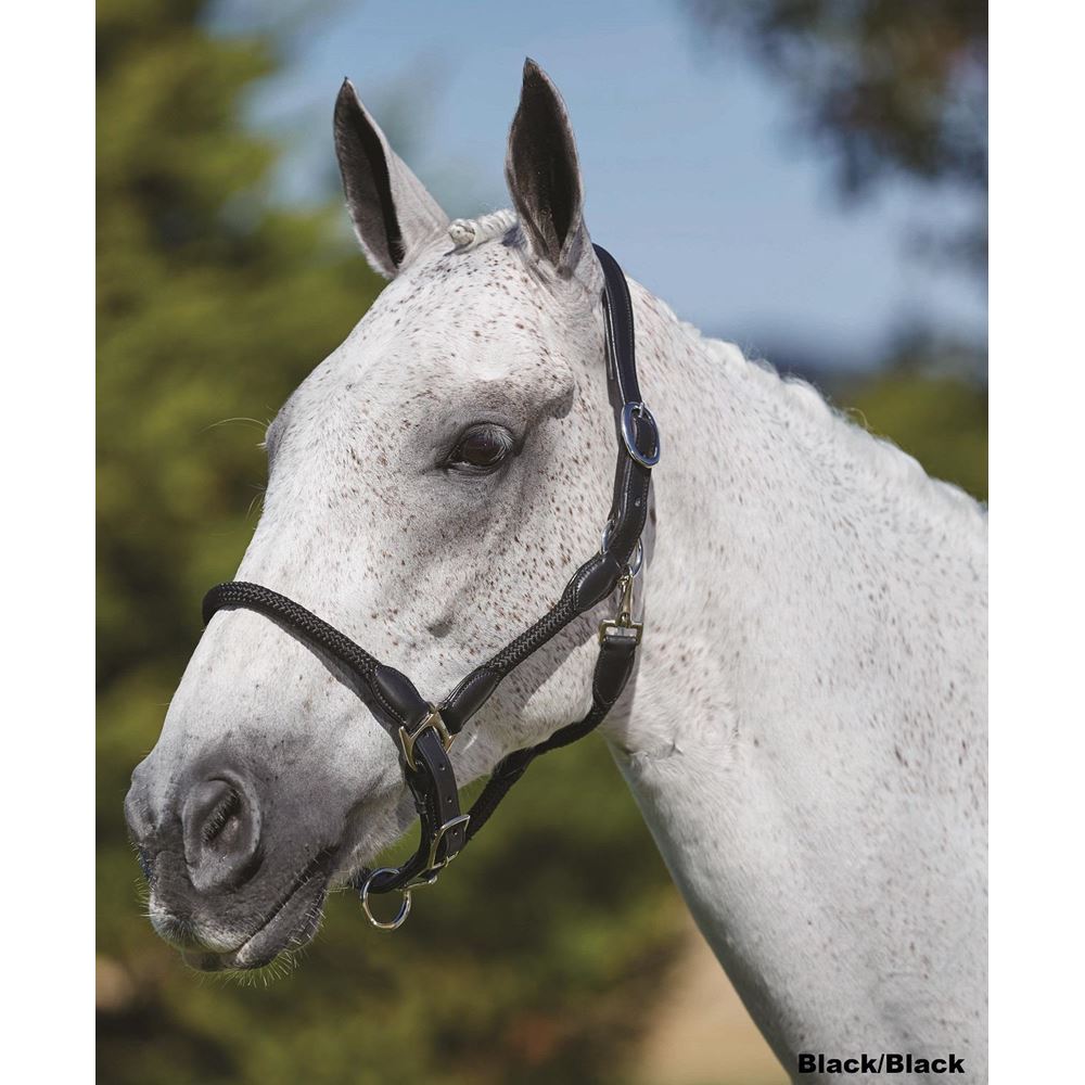 Kincade Leather Rope Headcollar