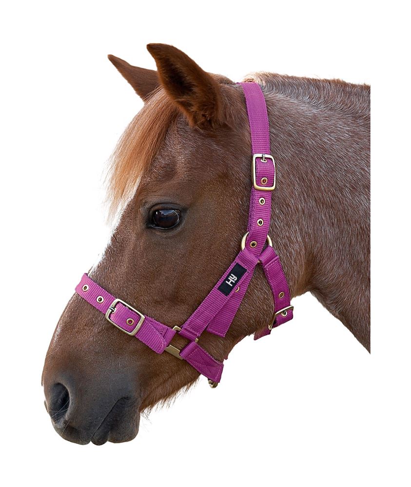 Hy Holly Fully Adjustable Head Collar