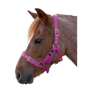 Hy Holly Fully Adjustable Head Collar