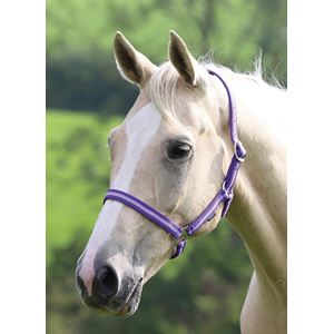 Shires Wessex Nylon Headcollar 