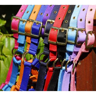 Rhinegold Nylon Foal Headcollar (Lilac)