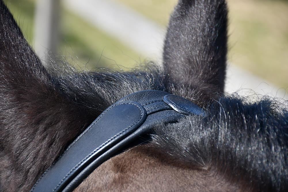 Rhinegold Leather Lunge Cavesson With Detachable Bit Attachment