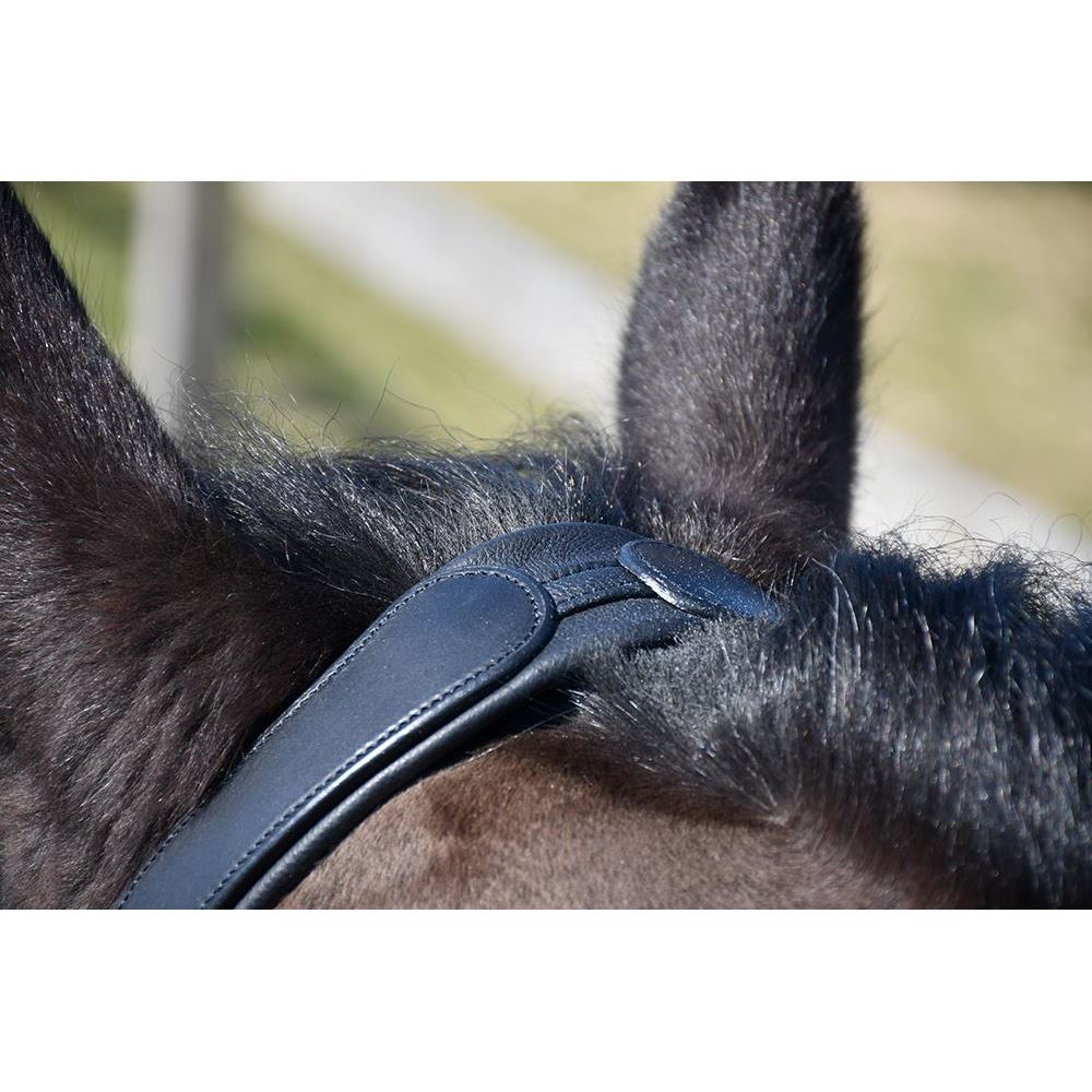 Rhinegold Leather Lunge Cavesson With Detachable Bit Attachment