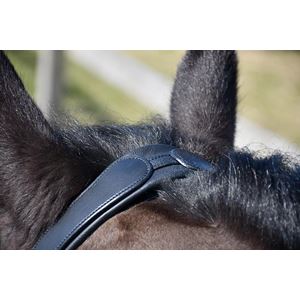 Rhinegold Leather Lunge Cavesson With Detachable Bit Attachment