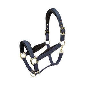 Shires Arma Padded Headcollar (Navy)