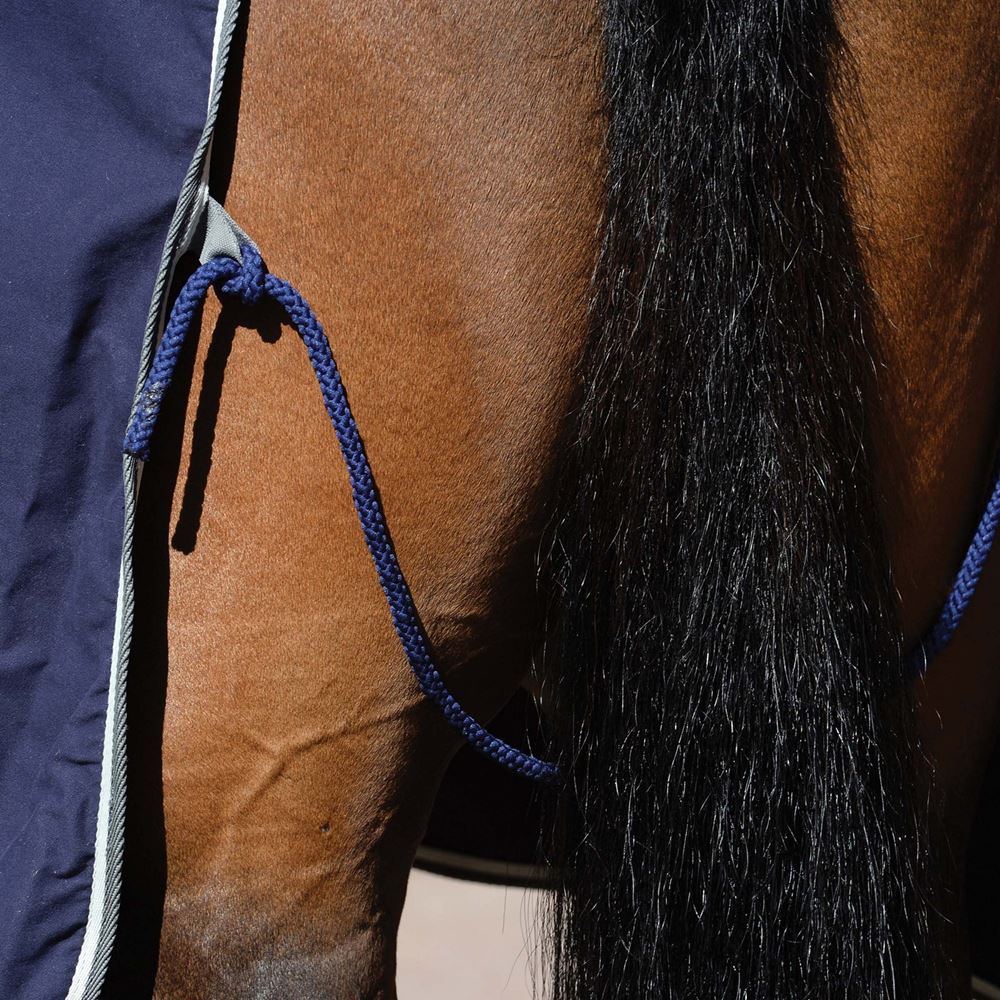 Weatherbeeta Cotton Show Sheet with Surcingles II Standard Neck