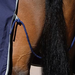 Weatherbeeta Cotton Show Sheet with Surcingles II Standard Neck