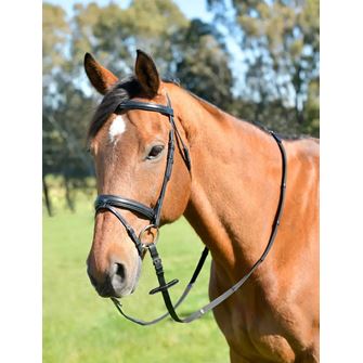 Kincade Classic Plain Raised Flash Bridle with Reins (Black)