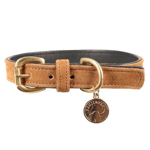 Benji & Flo Noble Suede Dog Collar (Tan/Gold)