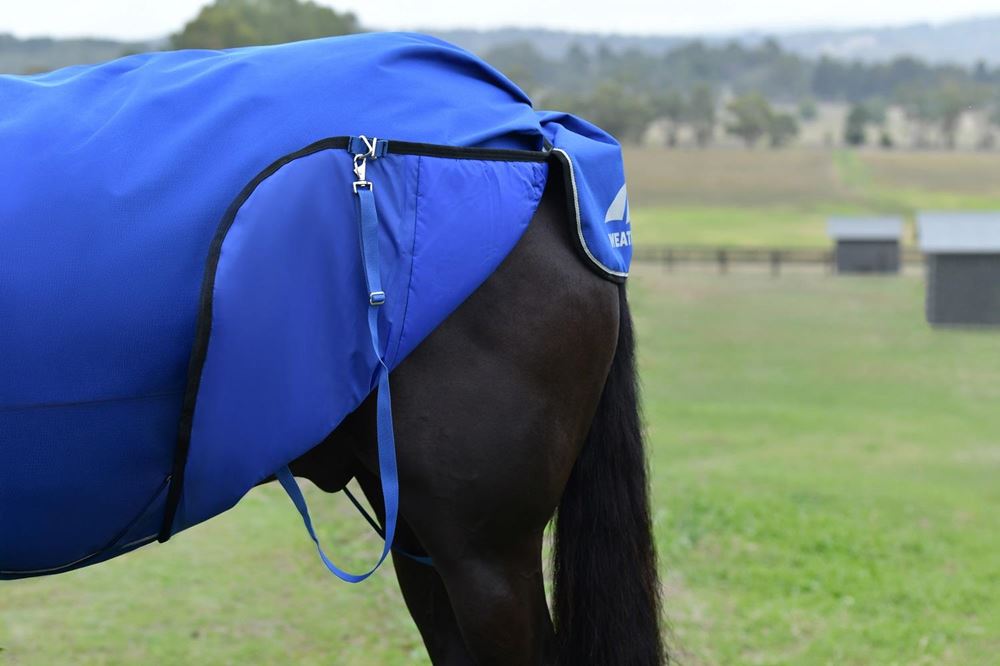 Weatherbeeta Comfitec Essential Turnout Standard Neck - 220g (Cobalt/Black)