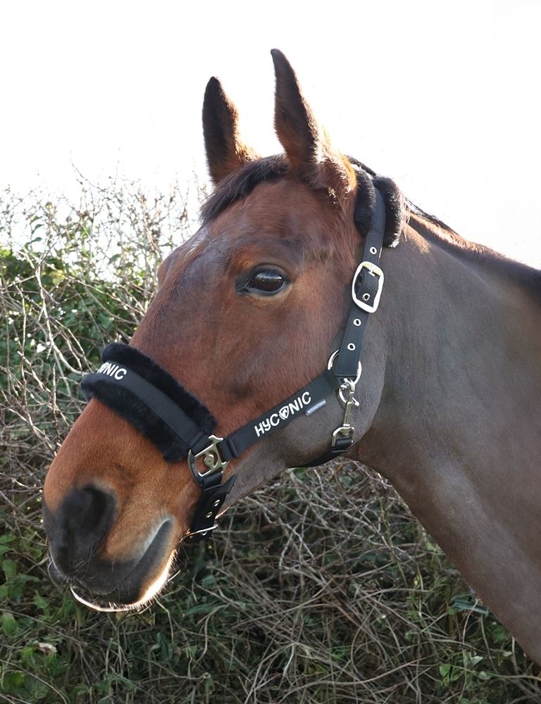 HYCONIC by Hy Equestrian Faux Fur Head Collar & Lead Rope (Black)