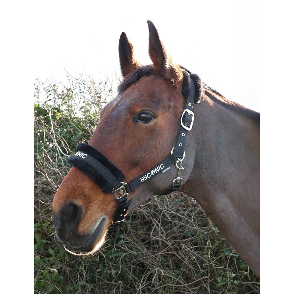 HYCONIC by Hy Equestrian Faux Fur Head Collar & Lead Rope (Black)