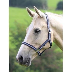 Shires Wessex Nylon Headcollar 