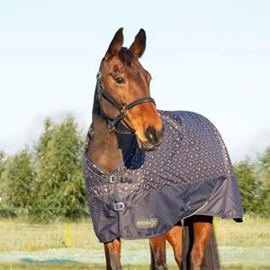Hy Equestrian StormX Original Country 100 Turnout Rug (Navy)