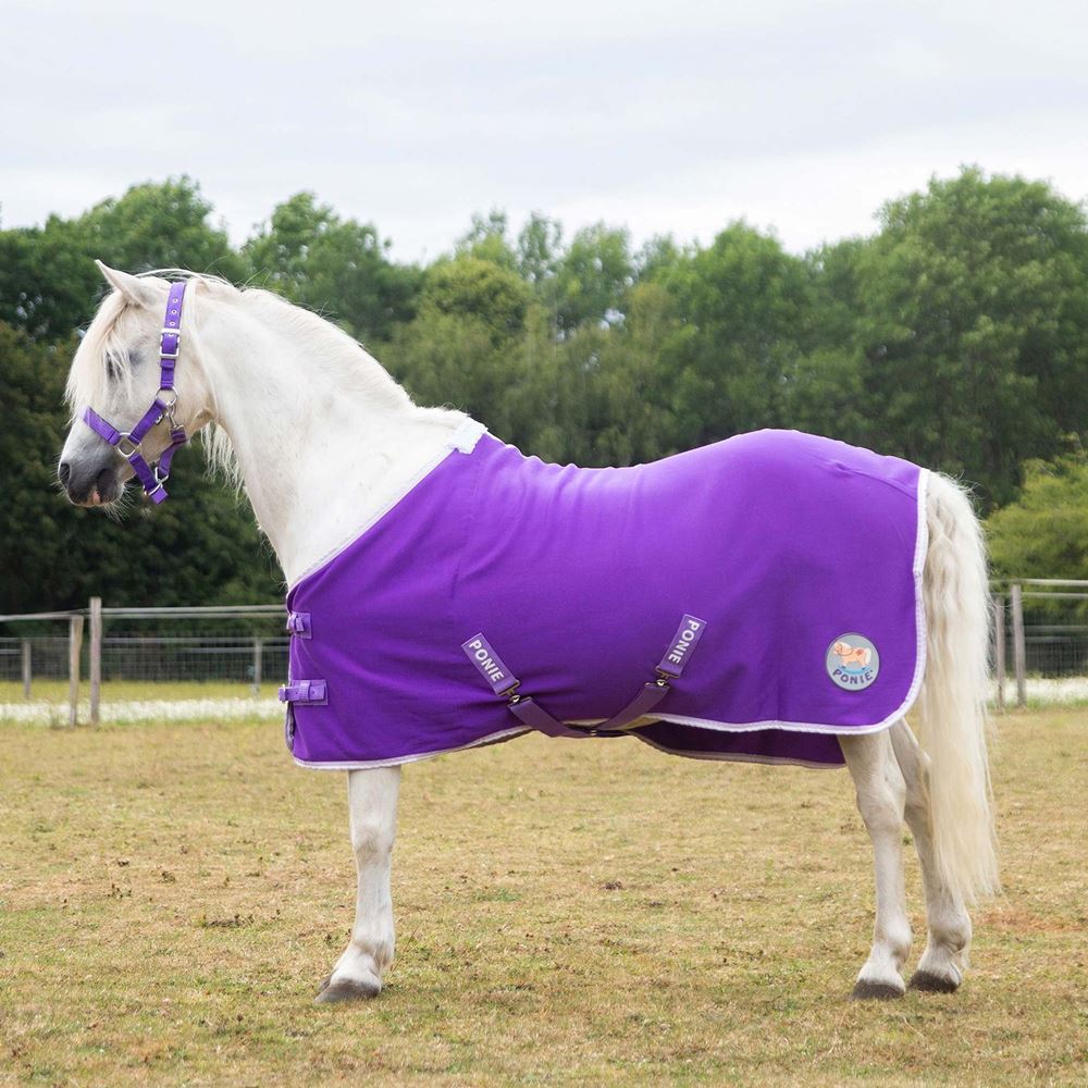 Gallop Ponie Purple Jersey Cooler Rug