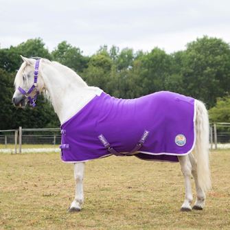 Gallop Ponie Purple Jersey Cooler Rug