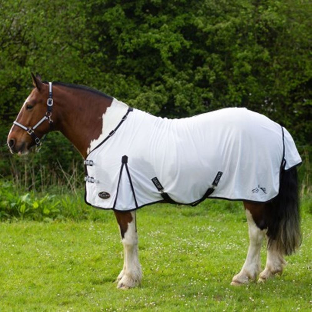 Gallop Dual Fly Rug