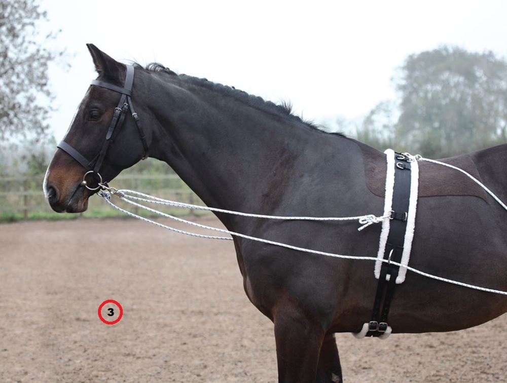 Shires Lunging Aid (Pessoa Style Training Aid)