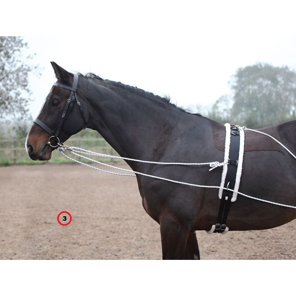 Shires Lunging Aid (Pessoa Style Training Aid)