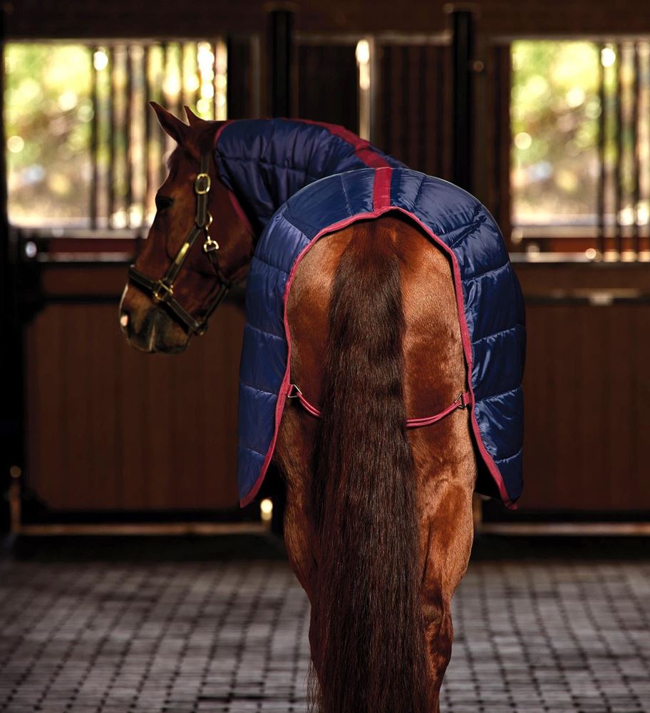 Weatherbeeta Comfitec 210D Channel Quilt Stable Combo - 220g (Navy/Burgundy)