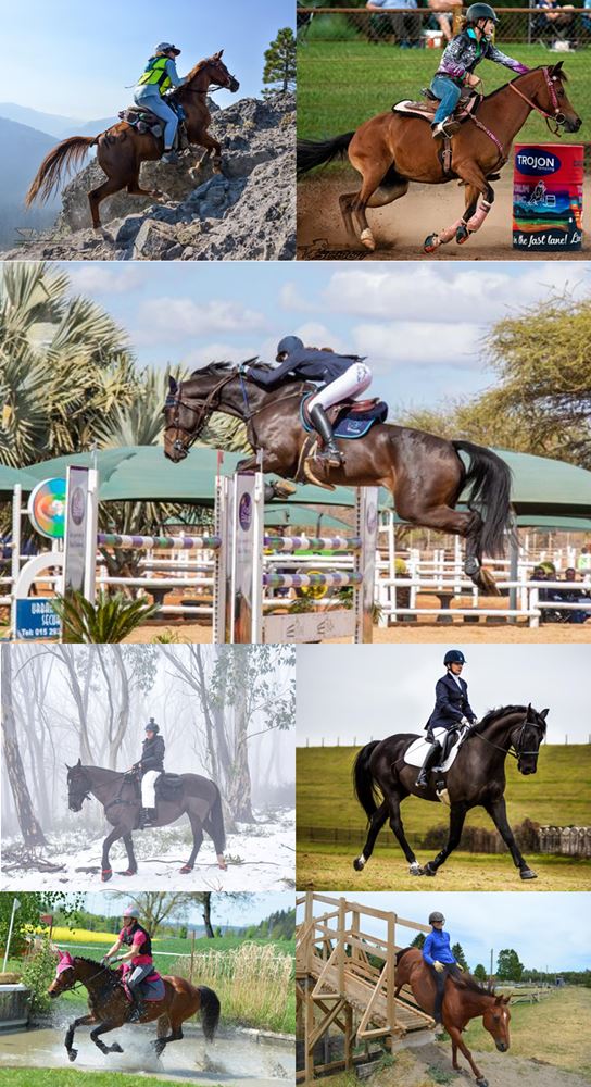 Scoot Boot Hoof Boots (Pair)