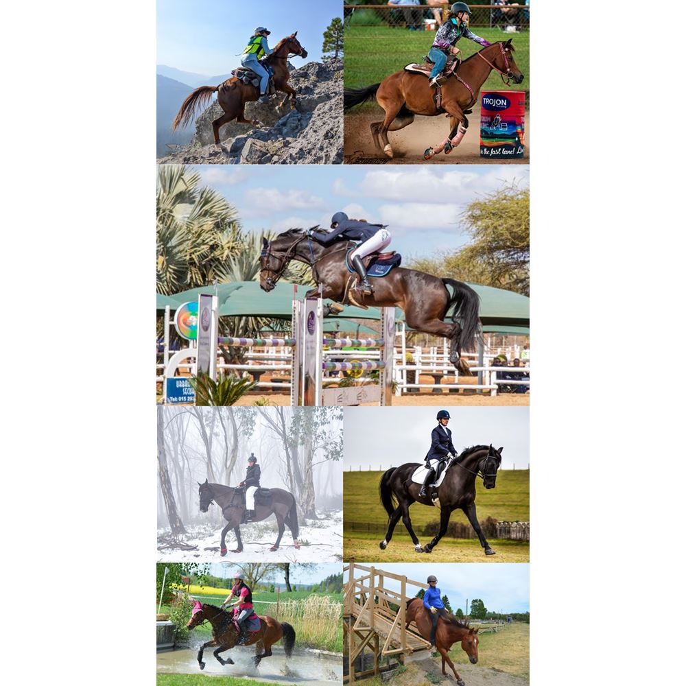 Scoot Boot Hoof Boots (Pair)