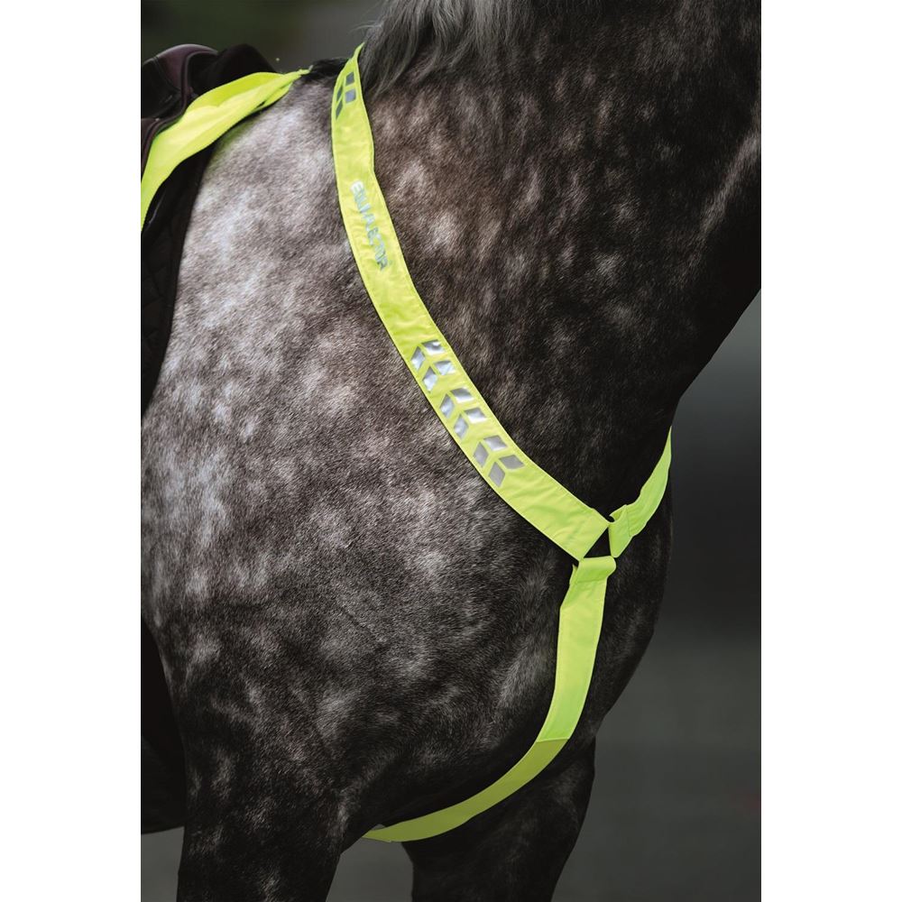 Shires Equi-Flector Breastplate