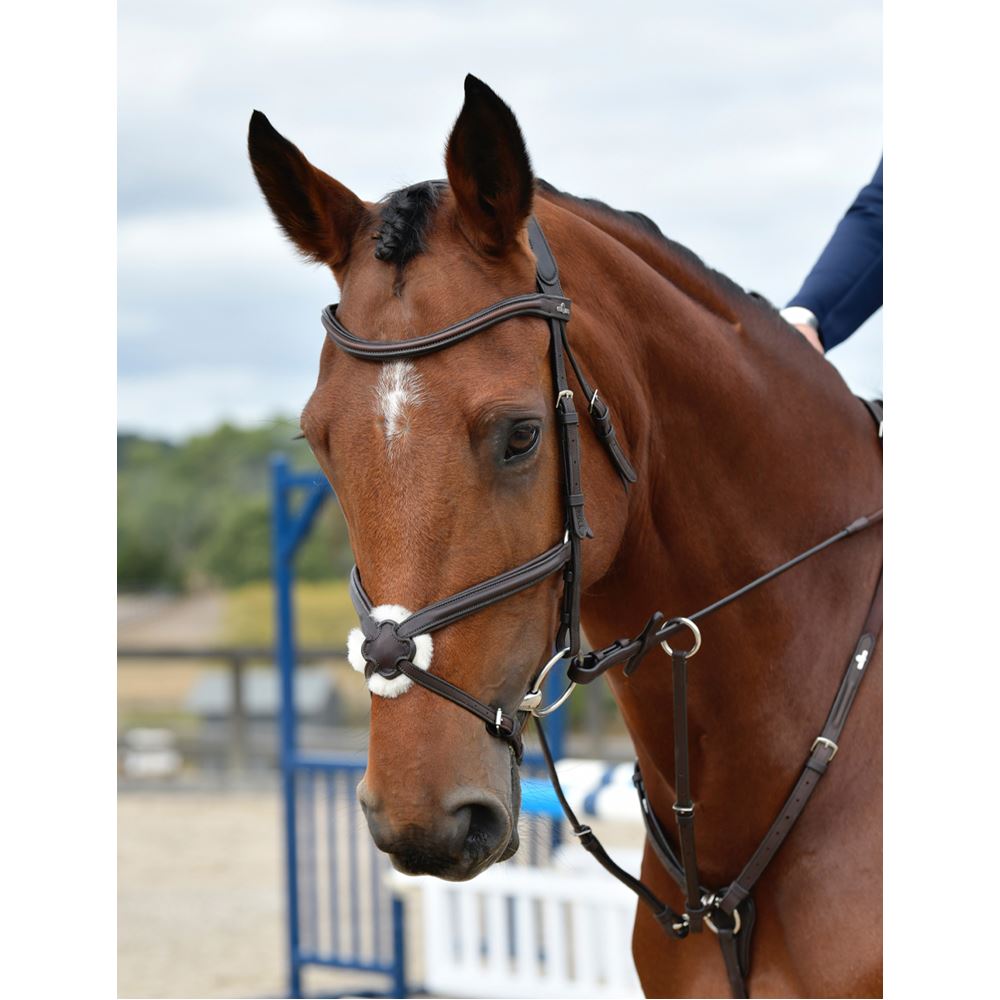 Weatherbeeta Collegiate Comfitec Opulux Plain Grackle Bridle